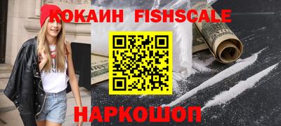 стаф Сланцы