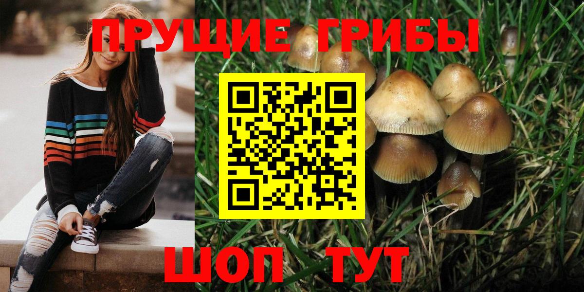 Осинники  Псилоцибиновые грибы ЛСД  Вход с VPN 